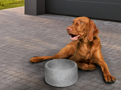 Allied Materials precast concrete dog bowl