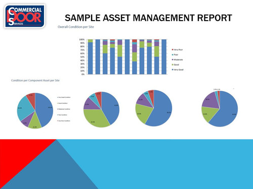 Commercial Door Services Asset Management Report Example