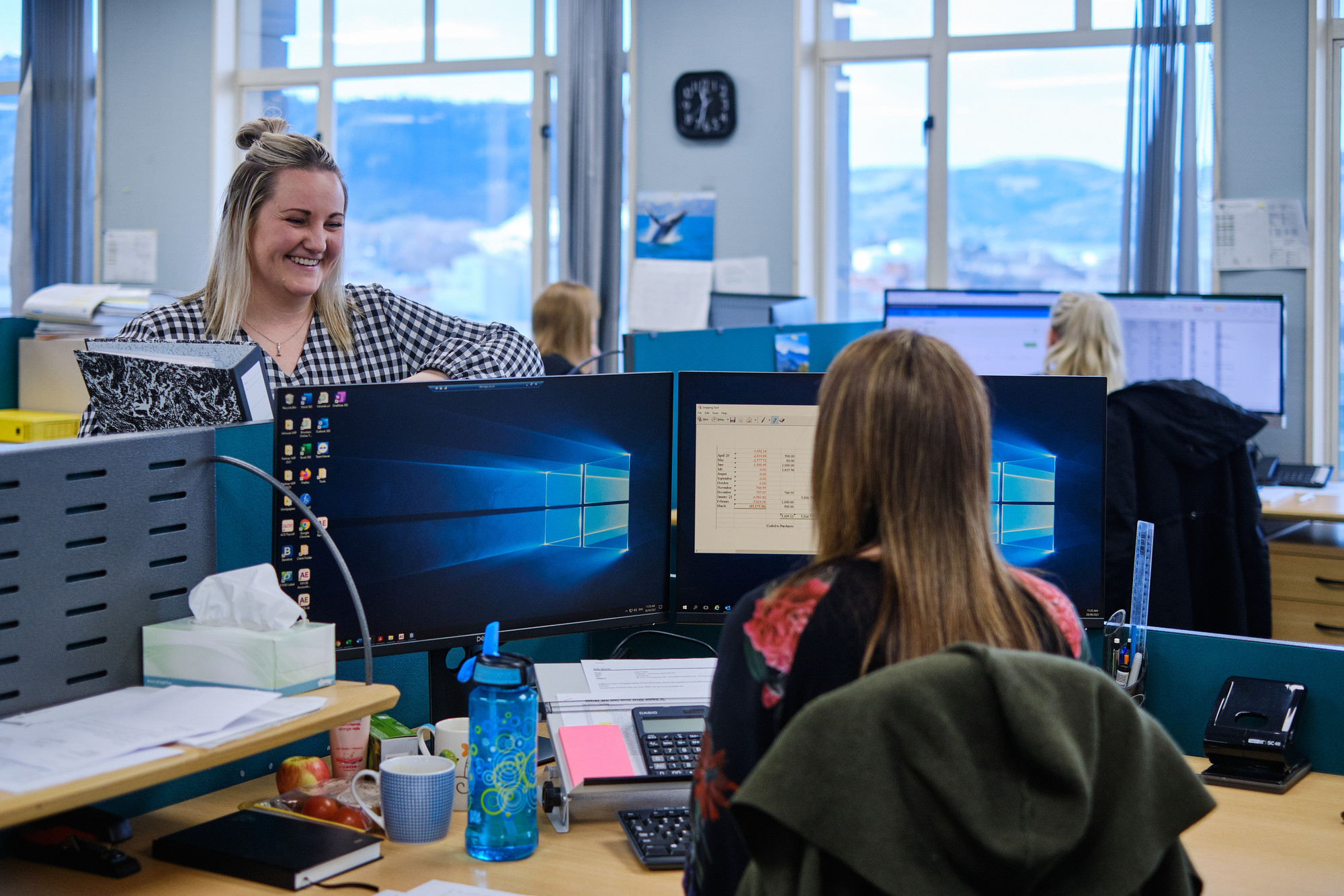 Harvie Green Wyatt Industry Accounting services Dunedin