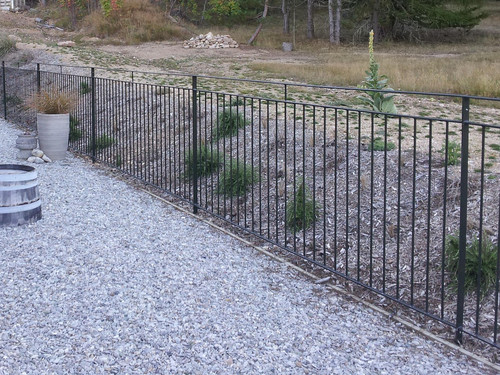 Modern garden fence