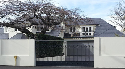 Automatic Gate in Dunedin