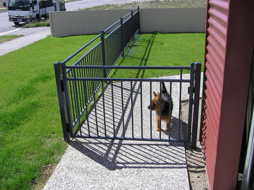 Fence and gate to secure pets