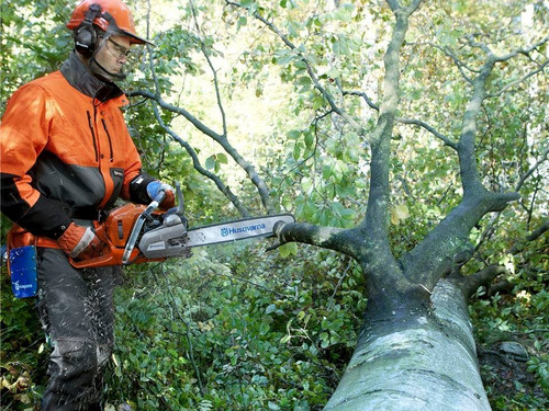 Thoughtplanters Auckland Public Chainsaw Course 25th & 26th February 2026