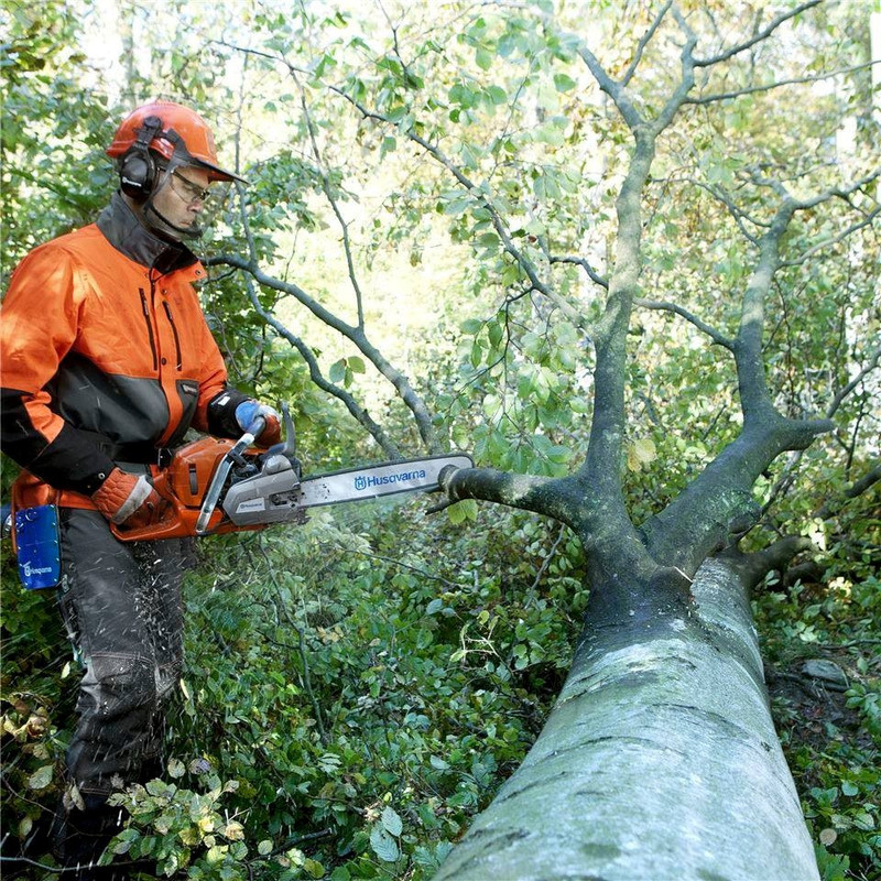 Thoughtplanters Auckland Public Chainsaw Course 25th & 26th February 2026