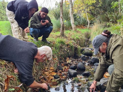 Testing water from tributary at Kaikorai Valley College