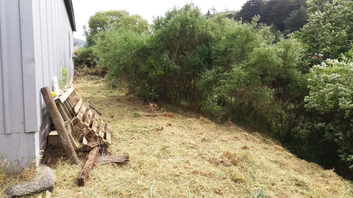 The beginning of removing gorse and broom from the back of Turboweb