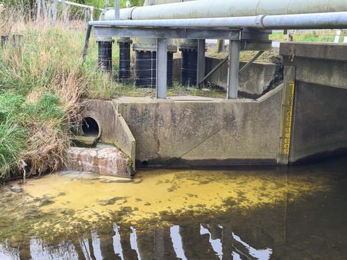 Silt in the stream from the drain