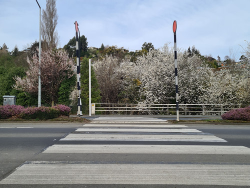 Kaikorai Valley College road crossing 