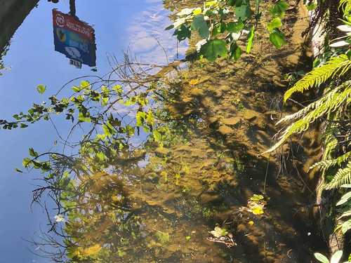 An industrial sign reflected in the water