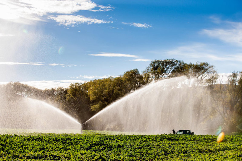 SSS Irrigation system in action (not at this location)