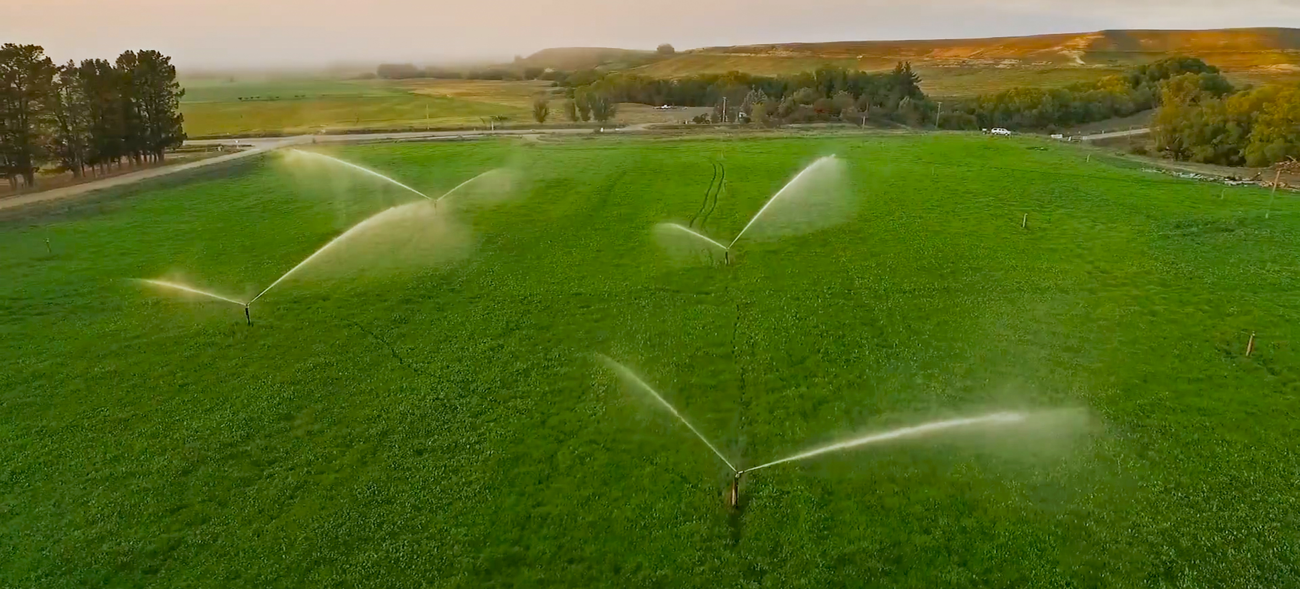 SSS Irrigation Home Fixed Grid Irrigation System, New Zealand