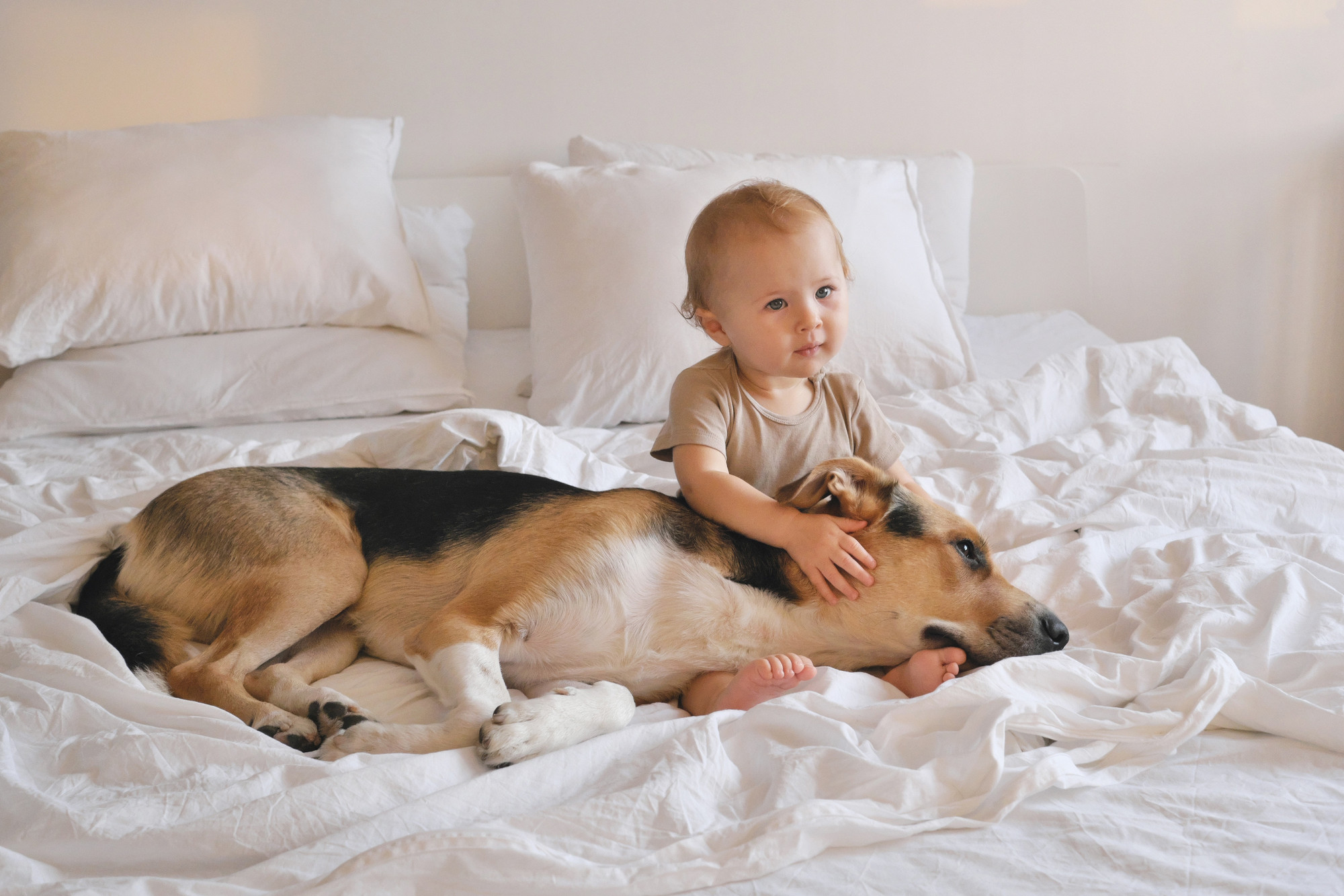 Baby and pet dog