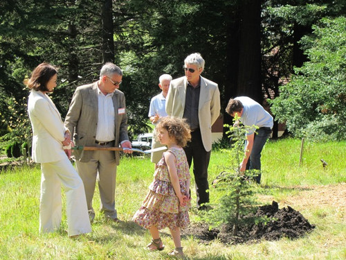 John & Pamela Farry plant the Cedar Tree (Cedrus Lebani) they donated to the Grove.