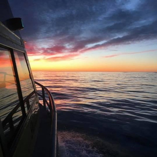 Moeraki Fishing Charters sunset