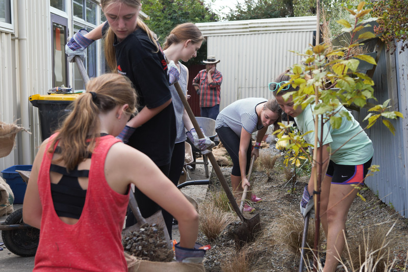 Student volunteers help out with re-planting the area behind the community rooms.