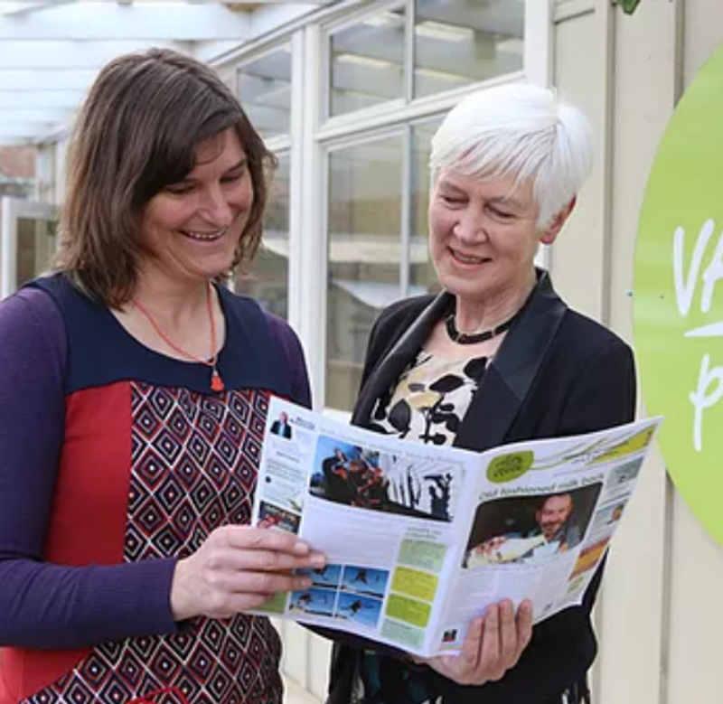 Advertise in the Valley Voice