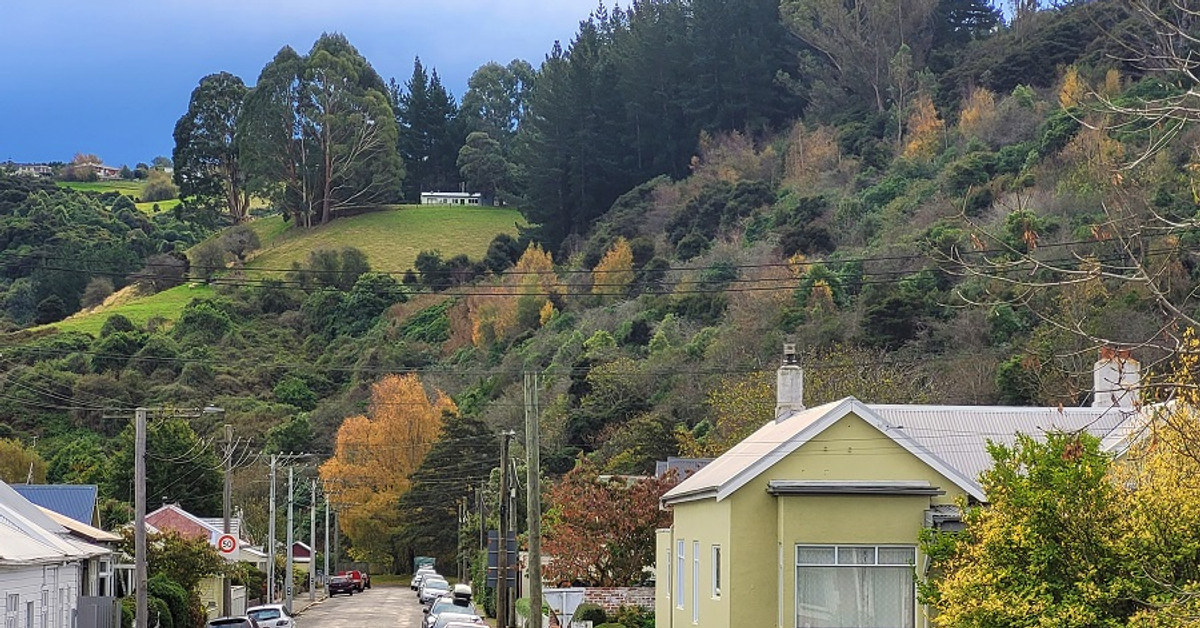 Why do some trees lose their leaves in winter and others don’t?