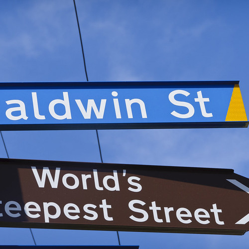 The Dunedin City Council is proposing to change Baldwin Street's signage to the "World's Steepest City Street'.