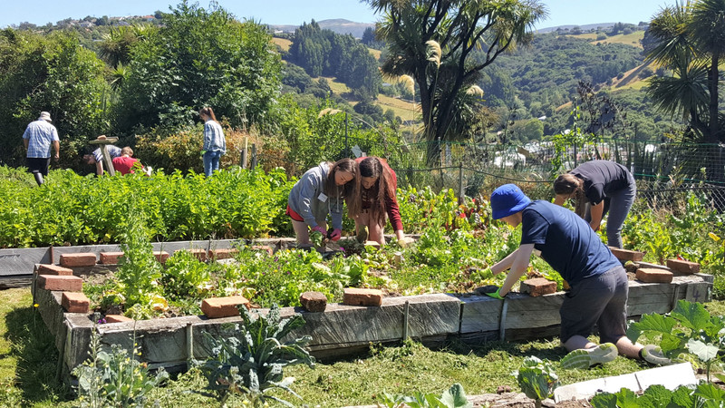 Enviroschool pupils spend some time learning about and working in the North East Valley Community Garden.