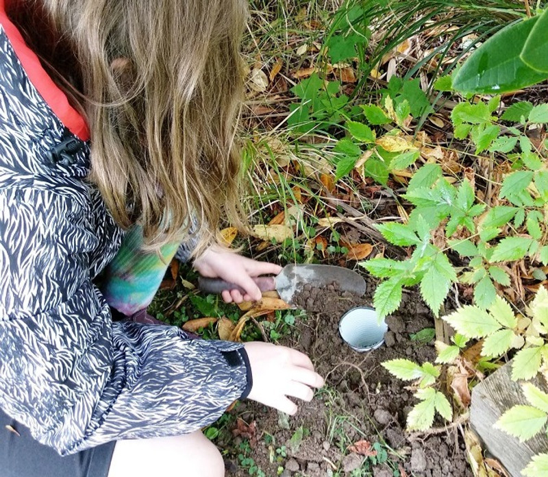 Setting up a pitfall trap to collect invertebrates in a backyard.