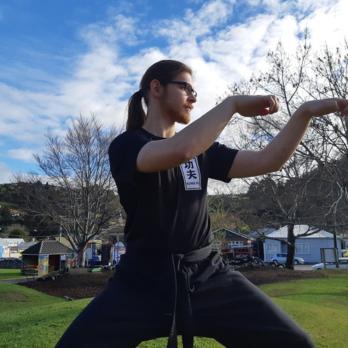 Kung Fu instructor Kenneth Mitchell demonstrates crane style.