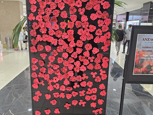 Not to mention the poppies made by children to be displayed near Timezone
