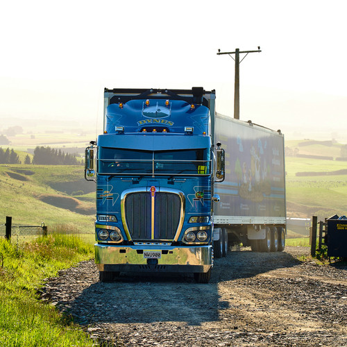 Dynes Transport Animal Bedding