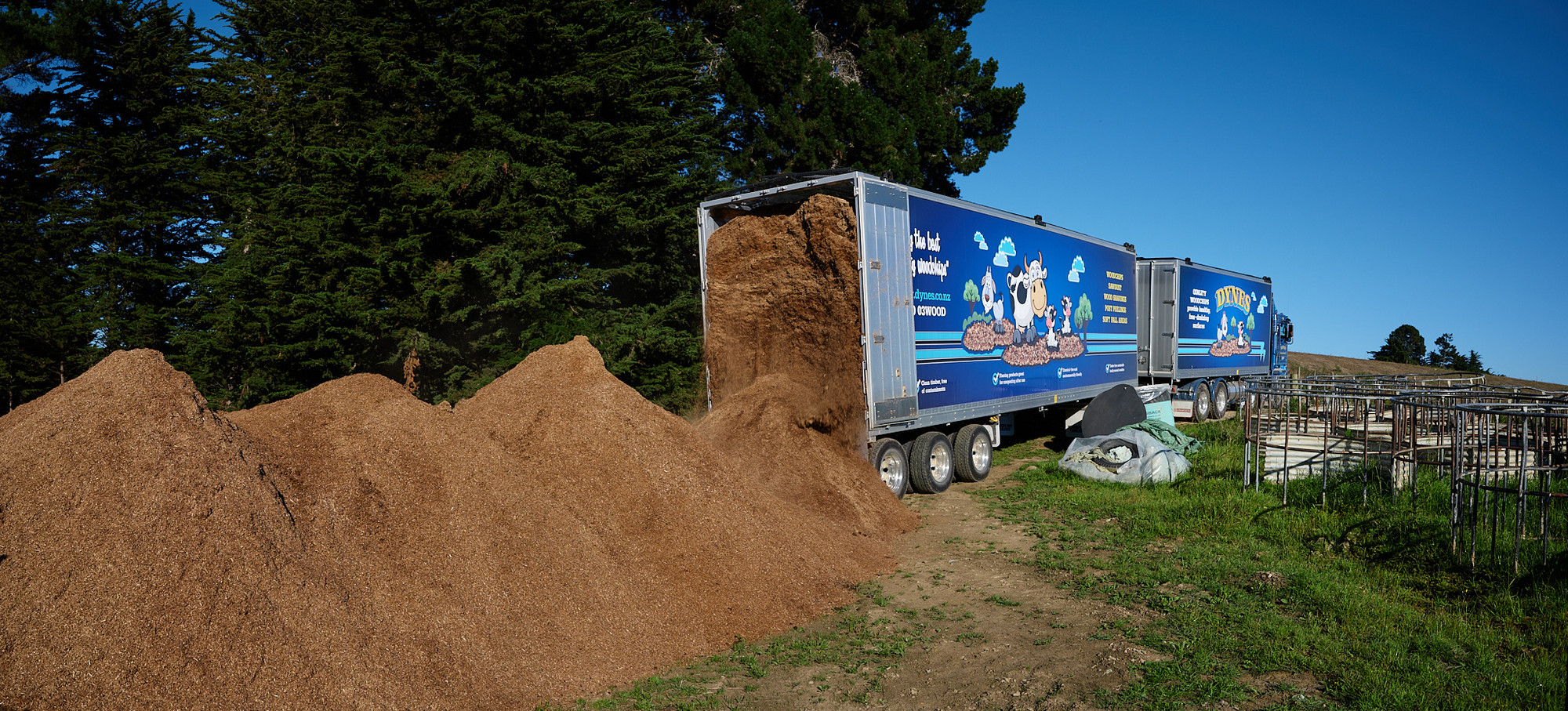 New Zealand Radiata Pine Wood Shavings