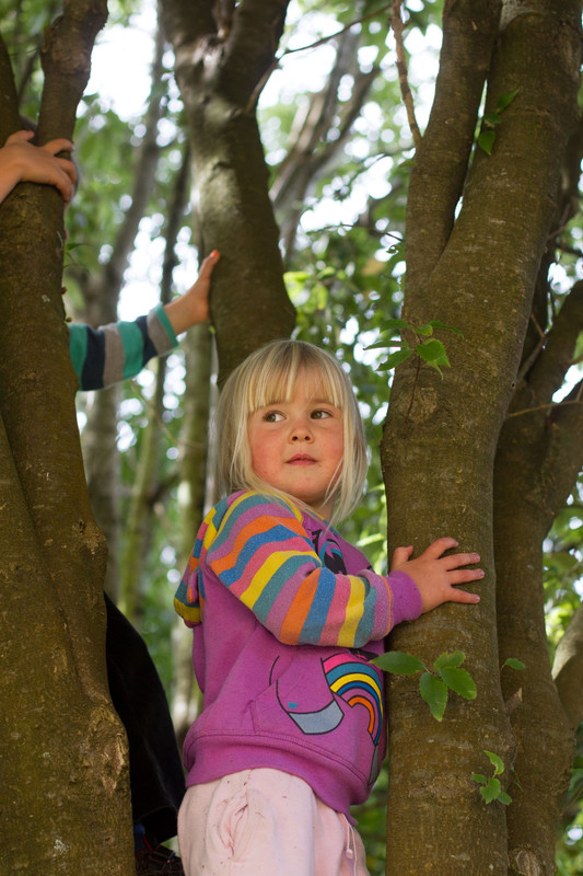 Children get the opportunity to play in nature at Aurora Tamariki in Pine Hill