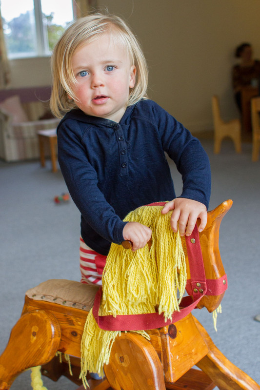 We provide Waldorf inspired early years care in Pine Hill, Dunedin.