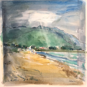 Aramoana