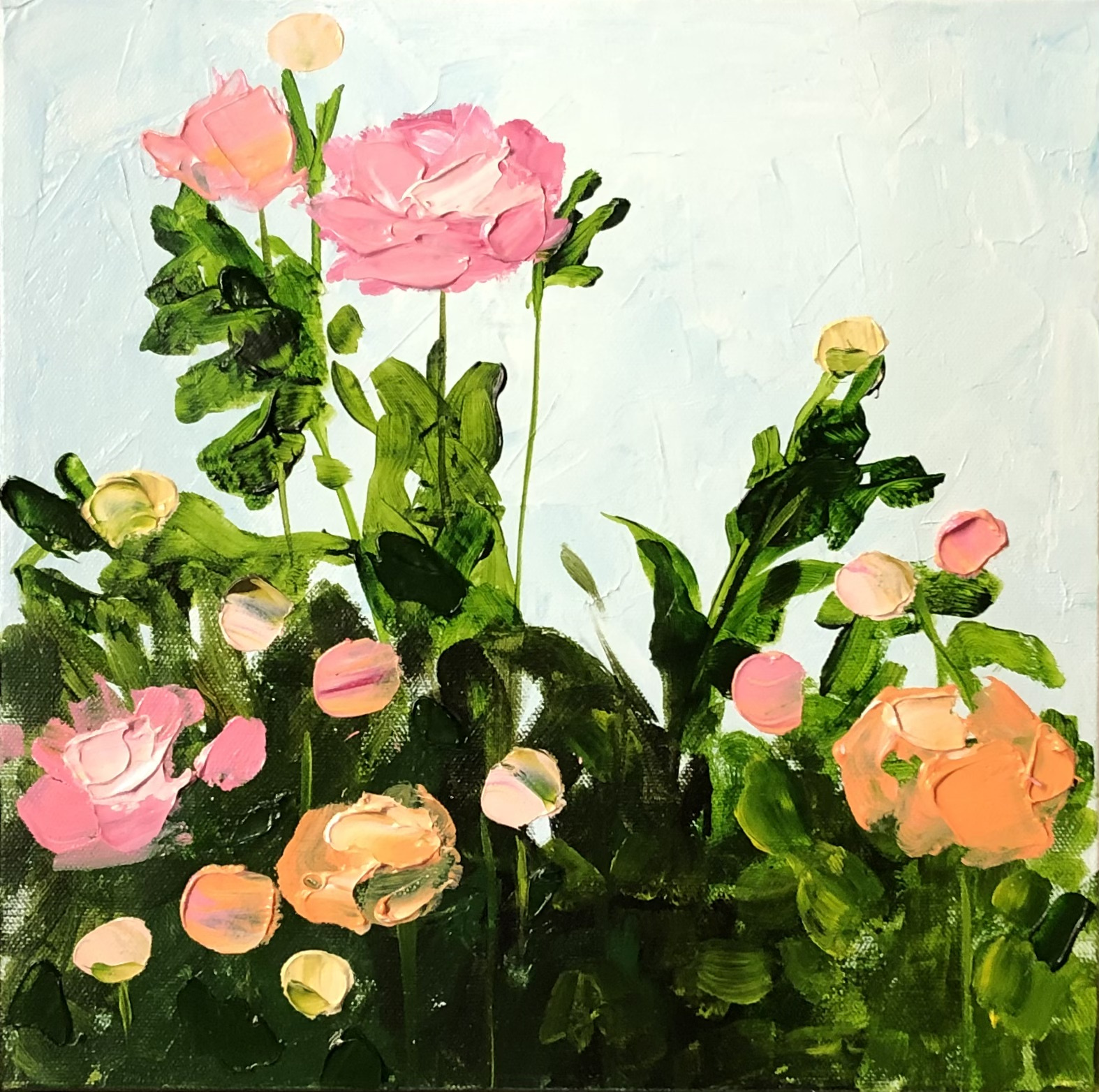Anna Stichbury