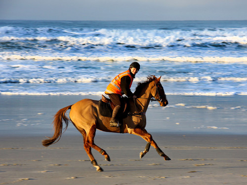 Early morning beach training