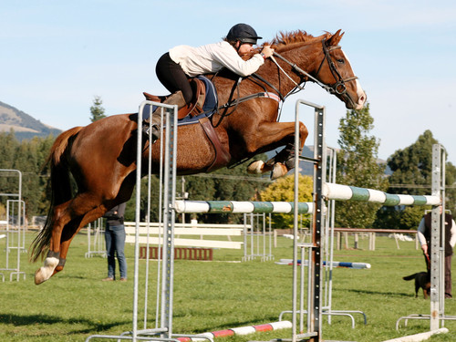 Grand Prix show jumper Jacketto 