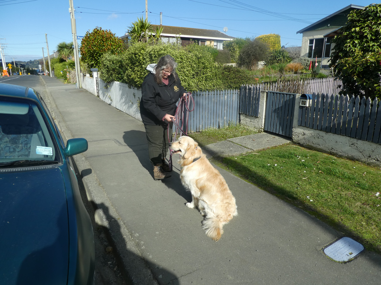 Gallery Paws 4 Success Photo Gallery