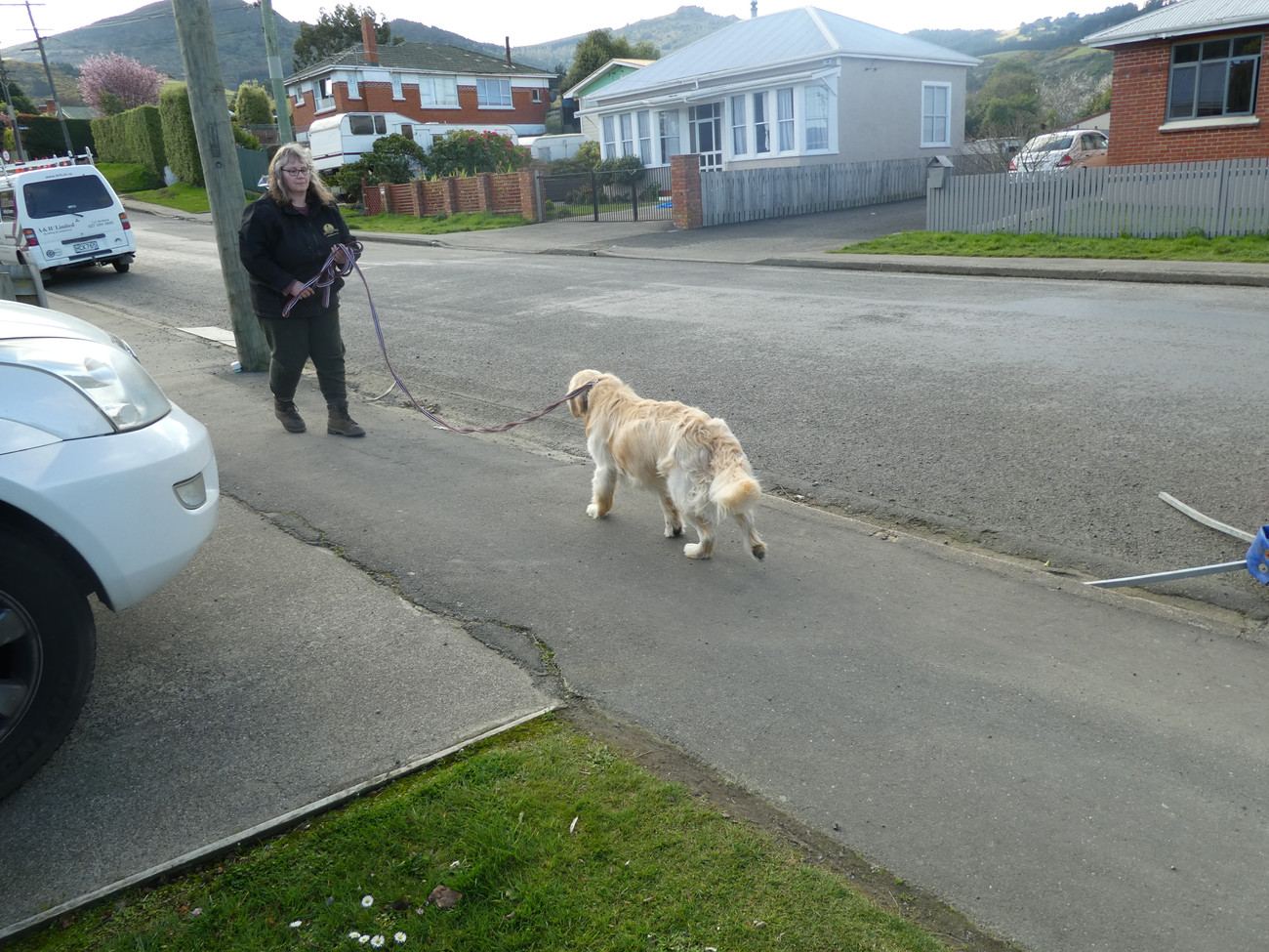 Gallery Paws 4 Success Photo Gallery