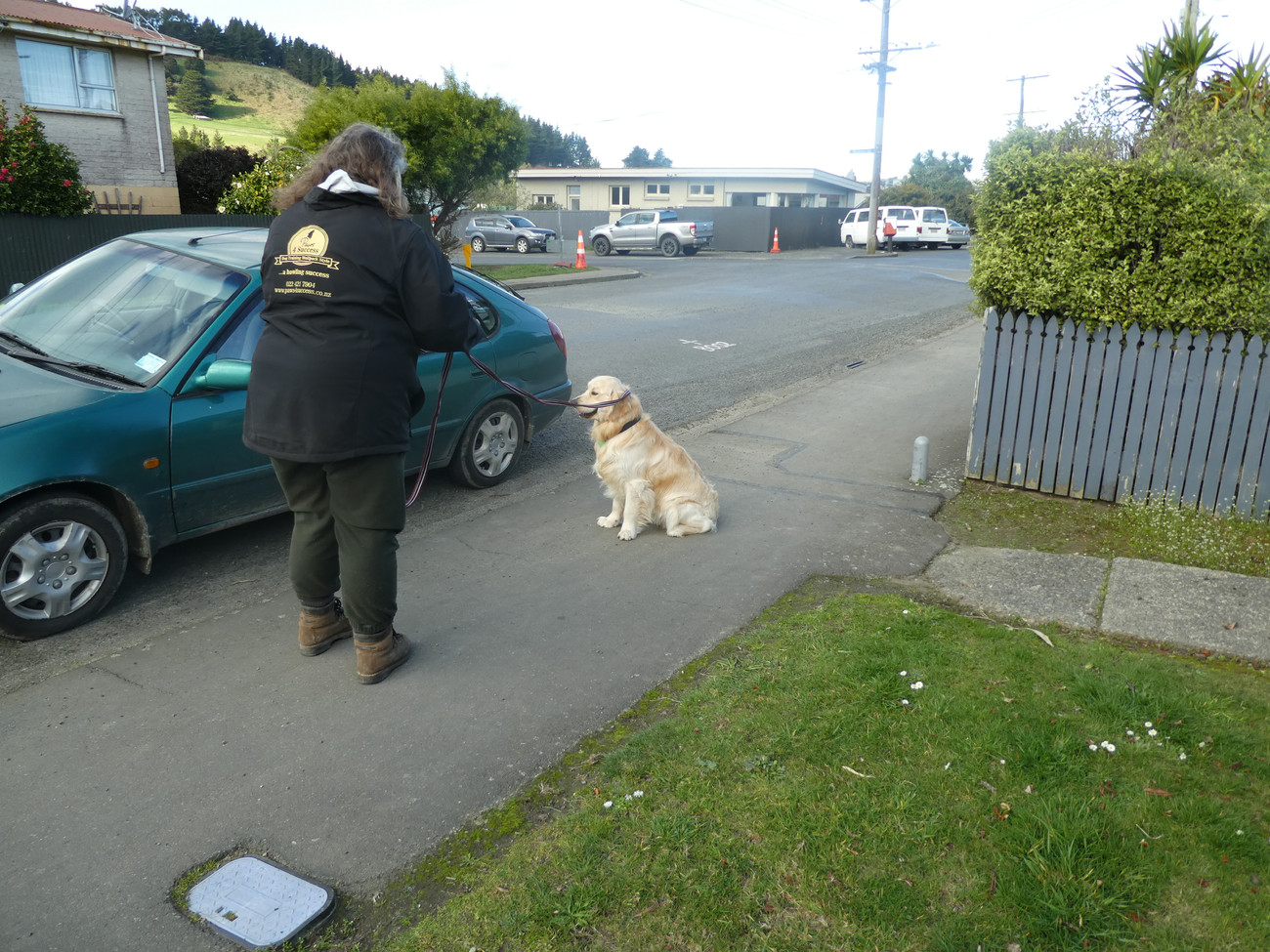 Gallery Paws 4 Success Photo Gallery