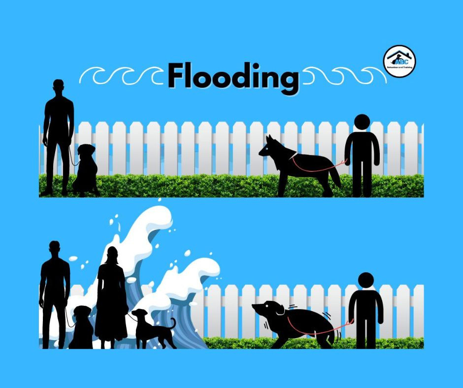 Flooding Dogs flooding-dogs