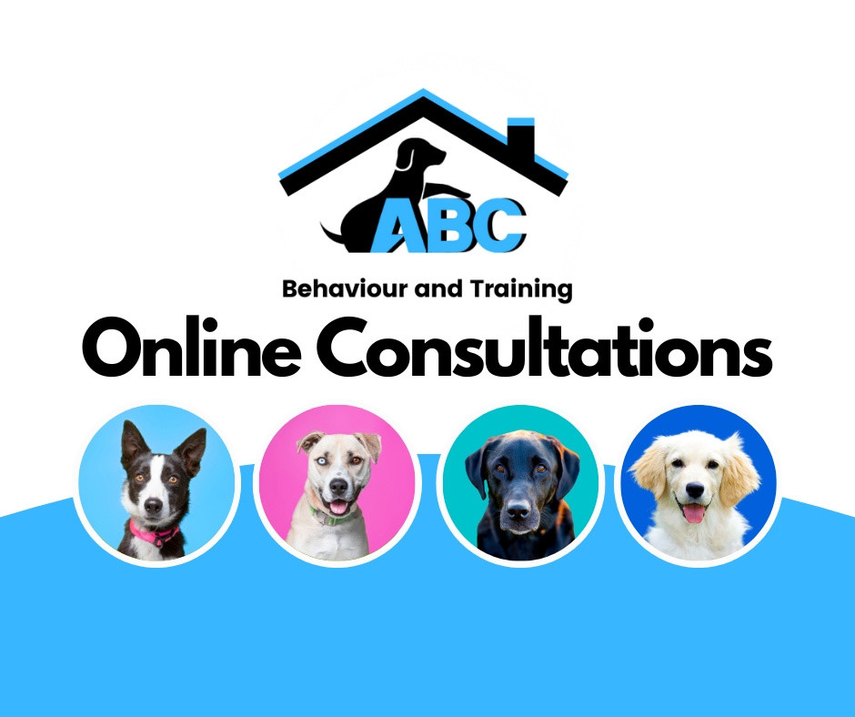 Online Consultation ABC Dogs Dog training