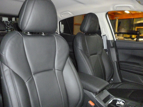 Leather Covers - front seats and headrests