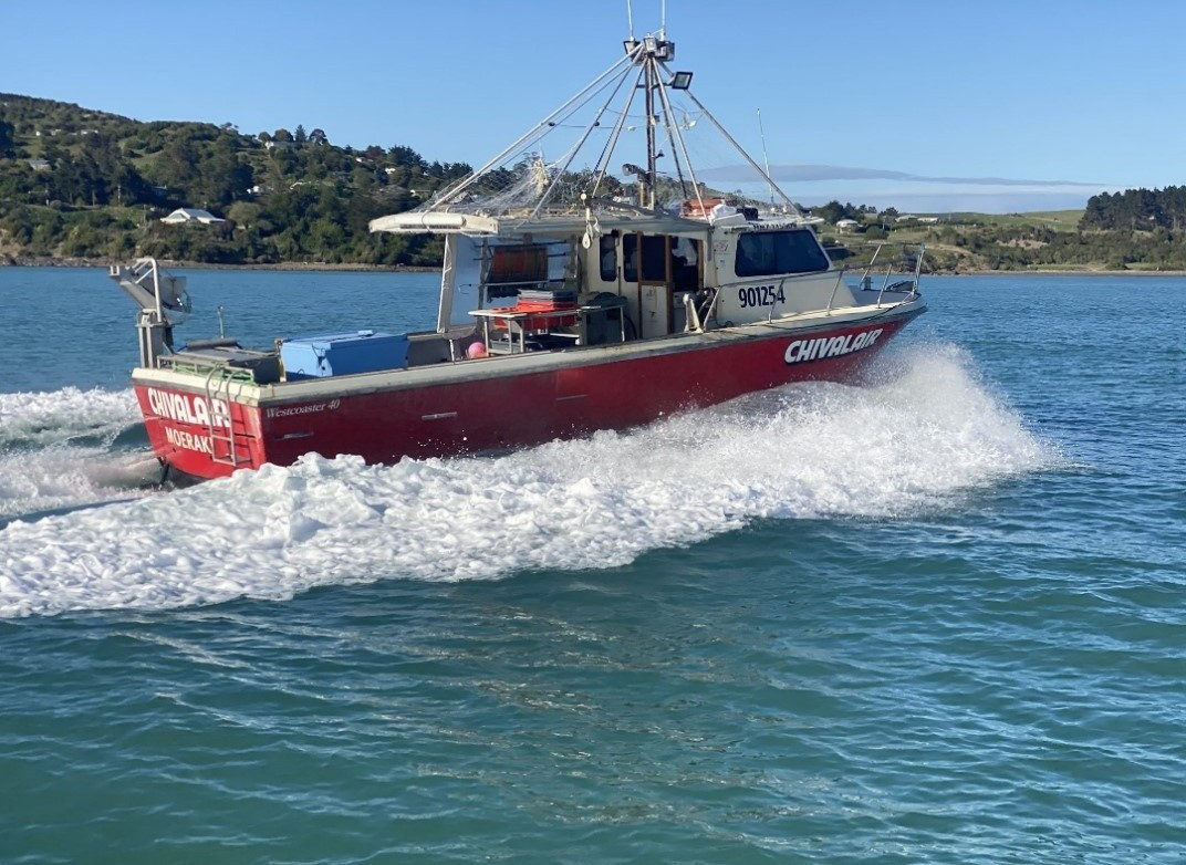 get-hooked-fishing-charters-moeraki