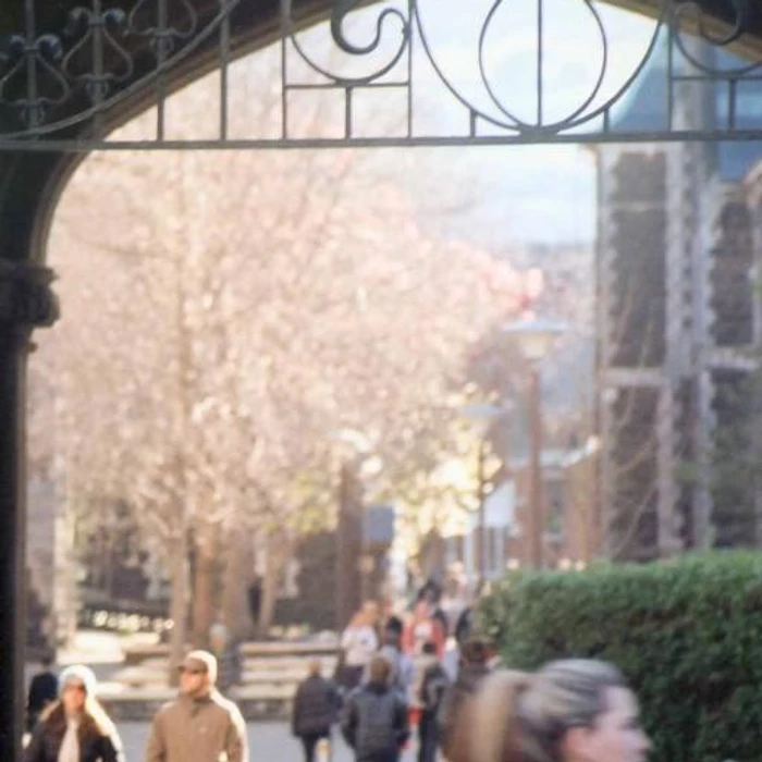 University of Otago