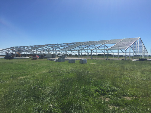 Basic framework for Dinnington Dairy Shed is up