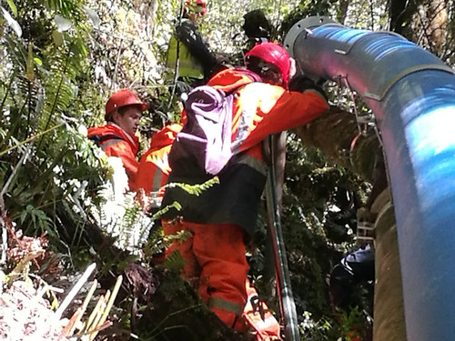 Pipeline curving along existing pipe at Deep Cove