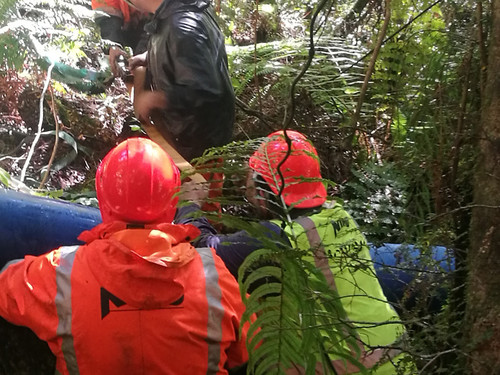 Installing wooden supports below the pipeline at Deep Cove for hydropower