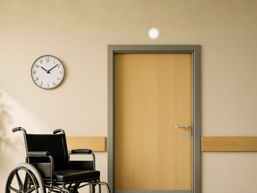 Overhead door light for a nurse call system