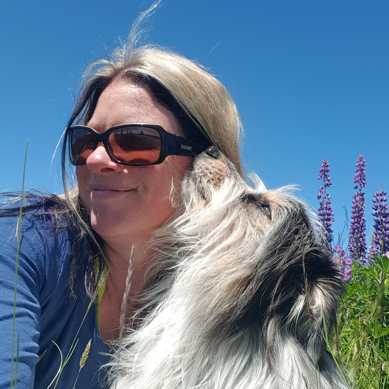 Mighty Mix Dog Food Franchisees Get Mighty Mix Dog Food delivered to