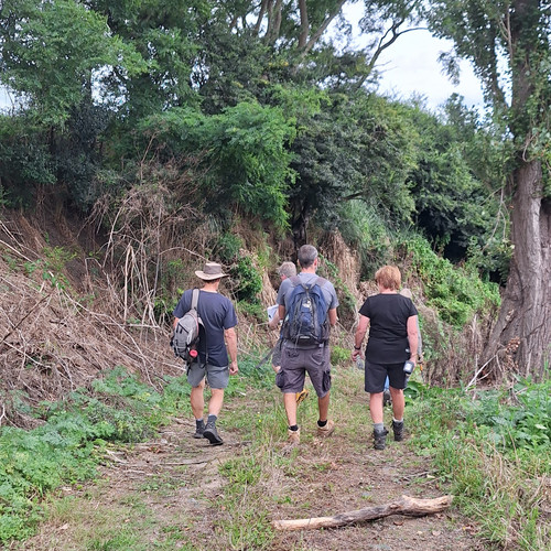 Volunteers form Predator Free Cambridge walking down a path in Karapiro