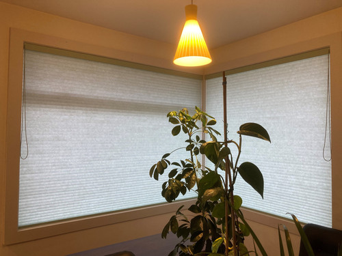 Light Filtering