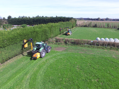 Two hedge cutters working together 